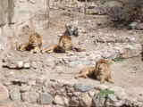 Zoo de Mendoza Zoo de Mendoza