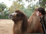Mon ami du zoo Mon ami du zoo