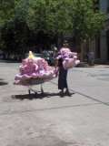 Vend nounours!!!